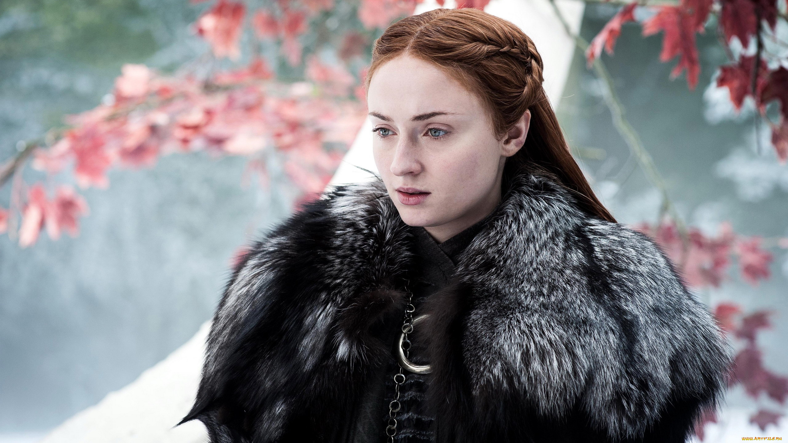  , game of thrones , , sophie, turner, sansa, stark
